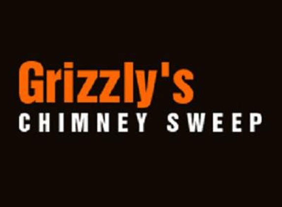 Grizzly's Chimney Service, Inc - Urbana, IL