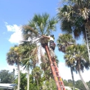 Redwine's Tree Service LLC - Arborists