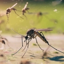 Clearview Pest Solutions inc - Pest Control Equipment & Supplies