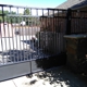 CRAFT Custom Gates