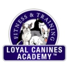 Loyal Canines Academy gallery