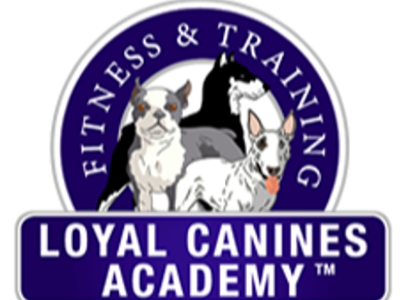 Loyal Canines - Peabody, MA