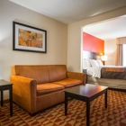 Comfort Inn & Suites Augusta Fort Eisenhower Area