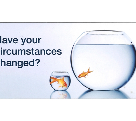 Modoras Financial Performance Solutions - Bundall, QLD