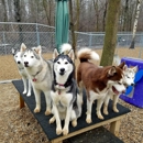 The Barking Birch Pet Lodge - Pet Boarding & Kennels
