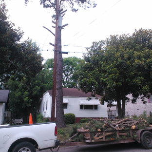 Real Tree Guys Tree Service