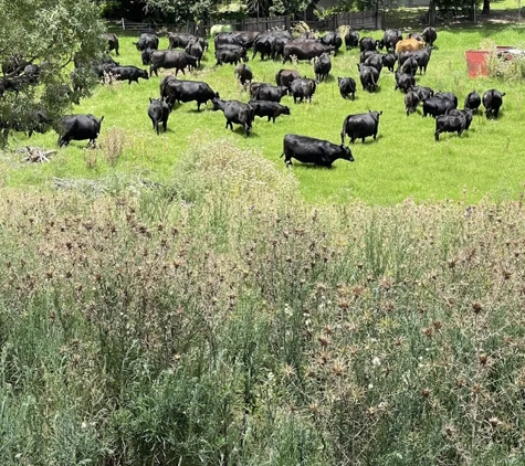 Excel Genetics - Dungowan, NSW