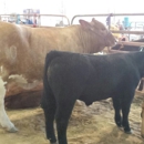 Washington County Fair Association - Fairgrounds