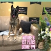 Sterling Canine Academy Inc gallery