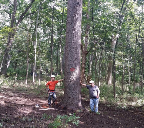 Olson Logging - Monroe, WI