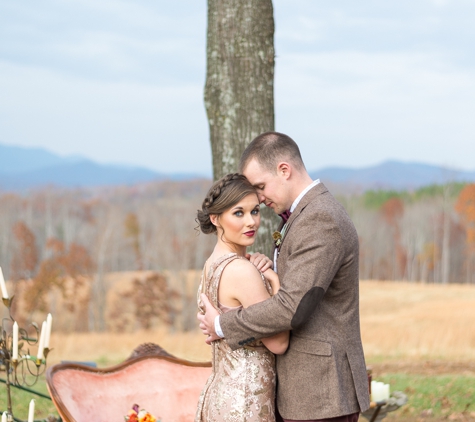 Alina Thomas Photography - Leesburg, VA