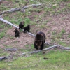 In Our Nature Guiding Services gallery