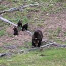 In Our Nature Guiding Services - Guide Service