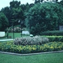 PDQ Lawn & Landscape - Tree Service