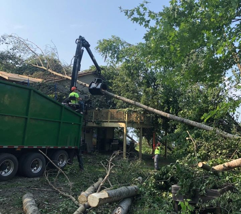 Jce Tree Service - River Falls, WI