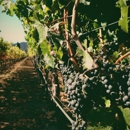 Hopper Creek Winery - Wine