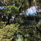 Kanapaha Botanical Gardens