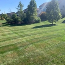 Christman Landscape & Contracting - Lawn Maintenance