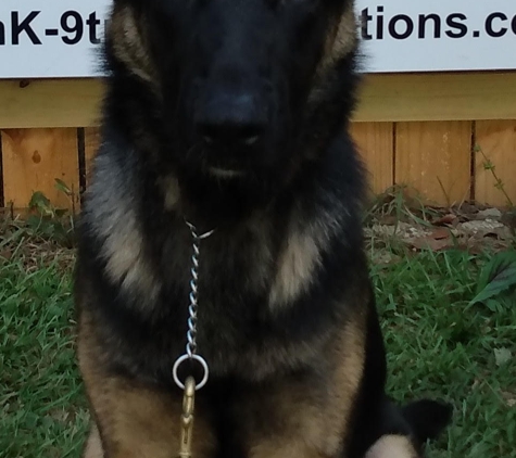 Southern K-9 Training Solutions - Fairhope, AL