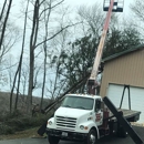 Putnam County Tree Service - Tree Service