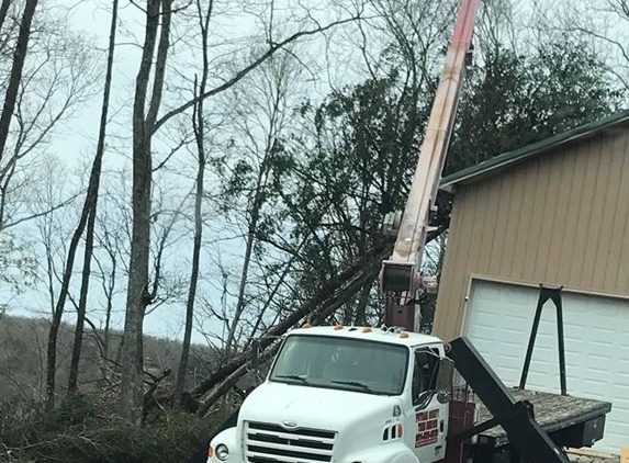 Putnam County Tree Service - Cookeville, TN
