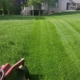 Stone And Sons Lawn Care