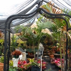 Family Produce & Palm Beach Flowers Shop