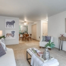 Mountain High Apartments - Apartments