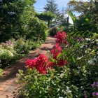 Trimble's of Corchaug Nursery