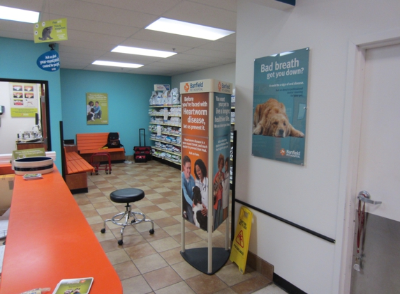 Banfield Pet Hospital - Glendale, AZ