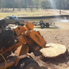 Juds Big Beaver Stump Grinding gallery