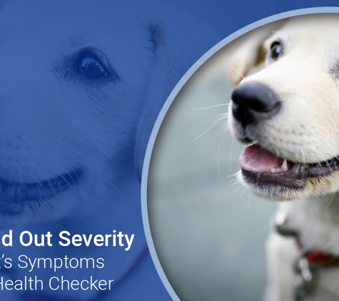Belmont Avenue Veterinary Hospital - Belmont, WA. Pet Health Checker