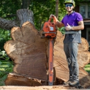 Bullys Tree Service - Tree Service