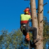Double R Tree Service gallery