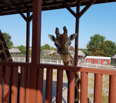 Brights Zoo - Limestone, TN