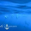 Ali'i Ocean Tours - Sightseeing Tours