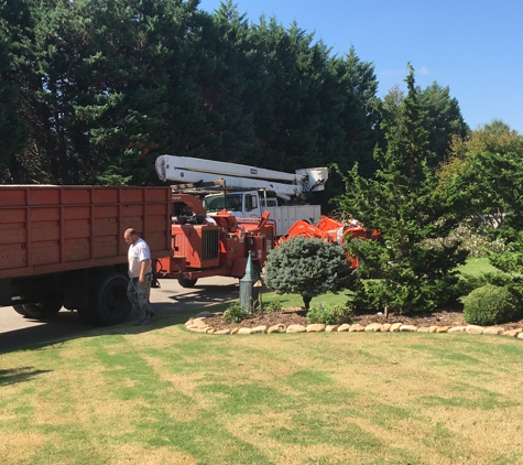 Dixieland Tree Service - Huntsville, AL. Clean up debris after the tree(s) are down. Perfect company!