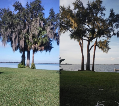 Kats Tree Service - Sorrento, FL