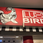 Ludo Bird