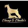 Champ & Charlie's Grooming Salon gallery