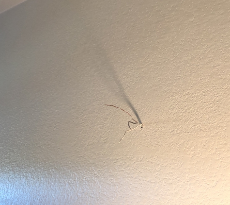 Absolute Electric LLC - Burleson, TX. Before bathroom vanity light.