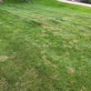 Making Solid Ground Lawn Care Inc gallery