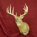 King's Taxidermy - Taxidermists