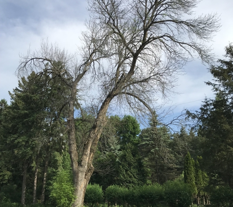 Voss Tree Mendon Tree Service - Hartland, WI