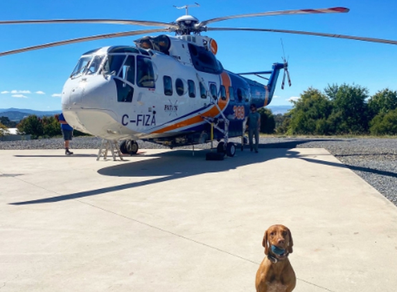 Paton Air Helicopters - Maindample, VIC