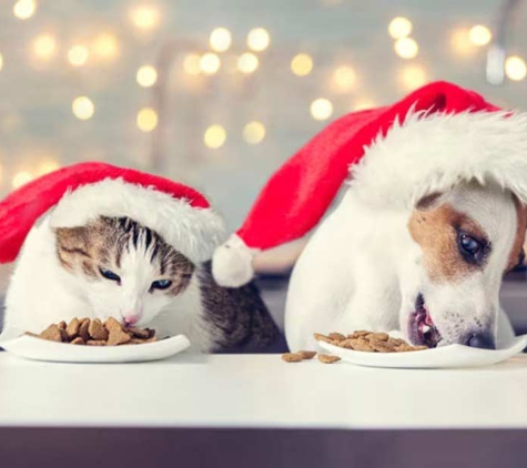 Nicklin Way Veterinary Surgery - Warana, QLD