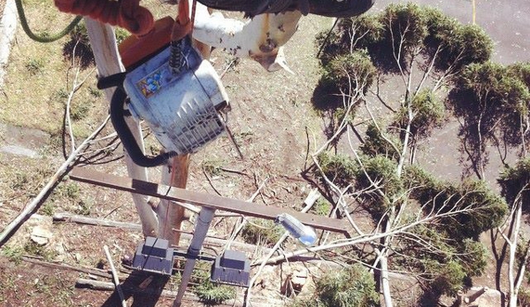 Horizon Total Tree Service - Tomakin, NSW