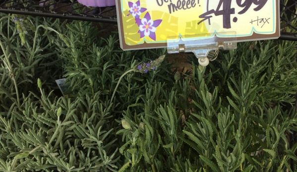 Trader Joe's - Denver, CO