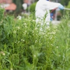 Midwestern Termite & Pest Control gallery