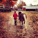 Alpine Ridge Farms - Stables